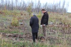 Депутаты отметили массу замечаний по поводу содержания городского леса