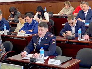 В Думе г.о. Тольятти представлен отчёт о работе Управления МВД России за 2025 год